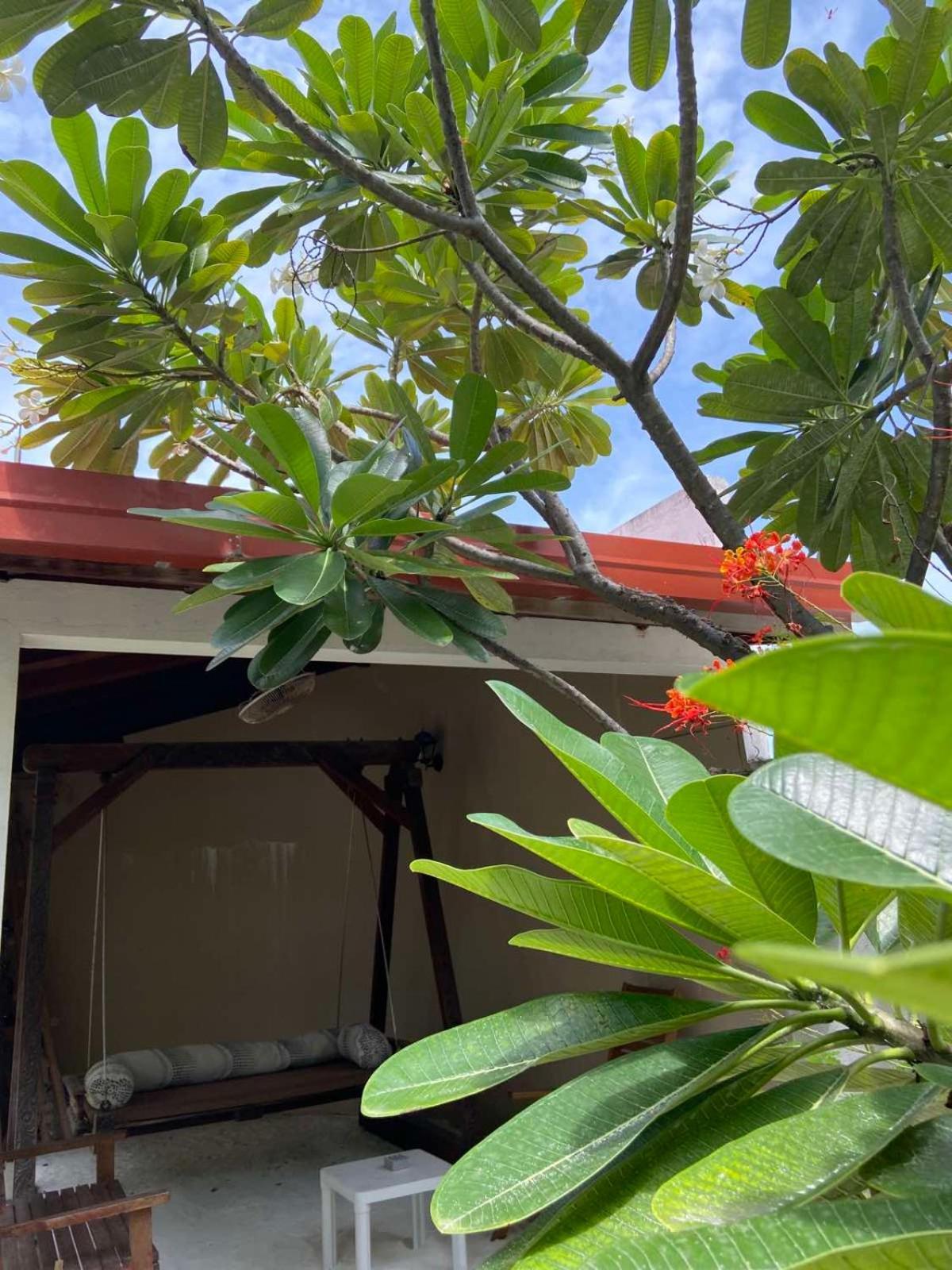 Cerulean View Residence Hanimaadhoo Island Dış mekan fotoğraf