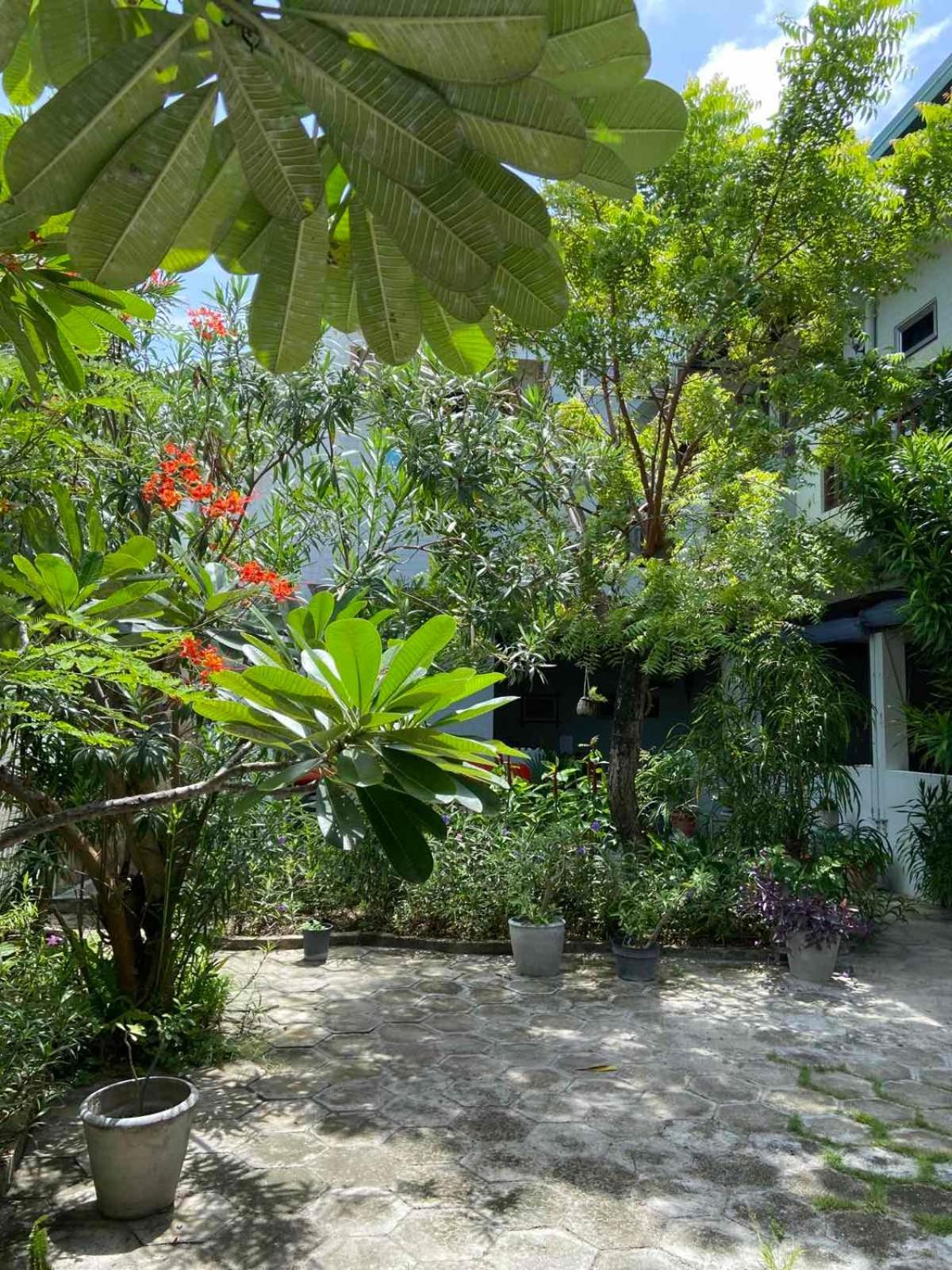 Cerulean View Residence Hanimaadhoo Island Dış mekan fotoğraf