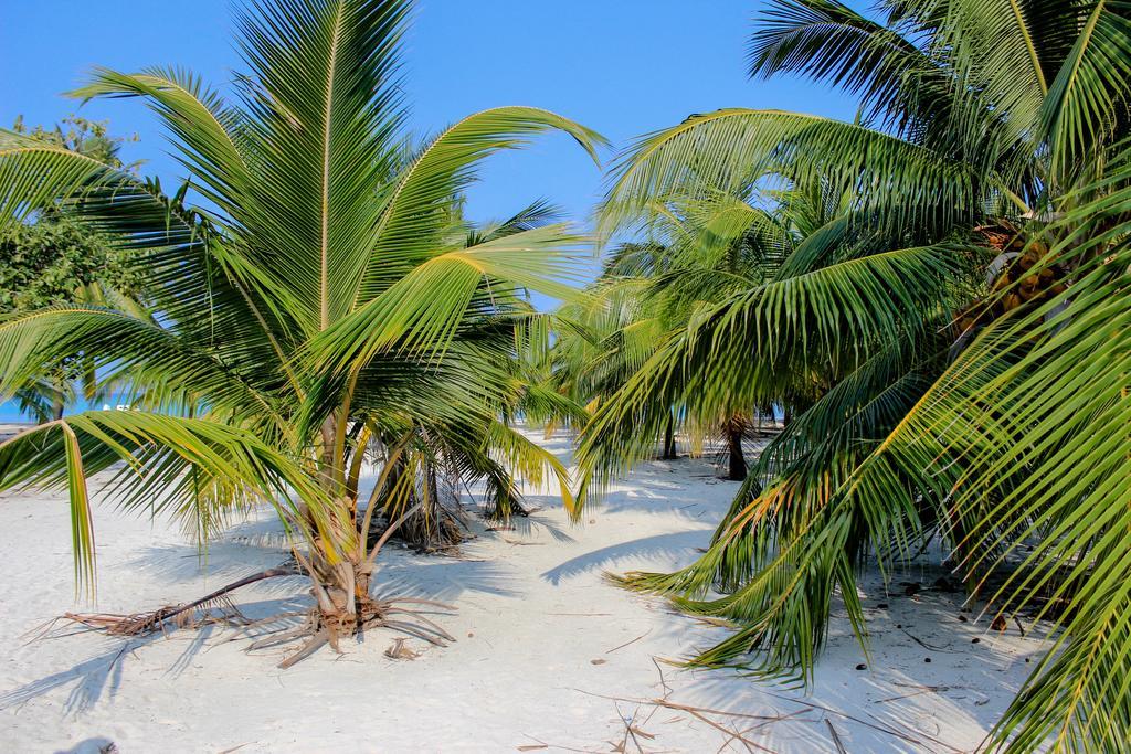 Cerulean View Residence Hanimaadhoo Island Dış mekan fotoğraf