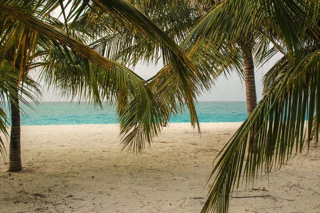 Cerulean View Residence Hanimaadhoo Island Dış mekan fotoğraf